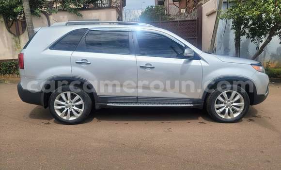 Buy Used Kia Sorento White Car in Yaounde in Central Cameroon Buy Used Kia Sorento White Car in Yaounde in Central Cameroon