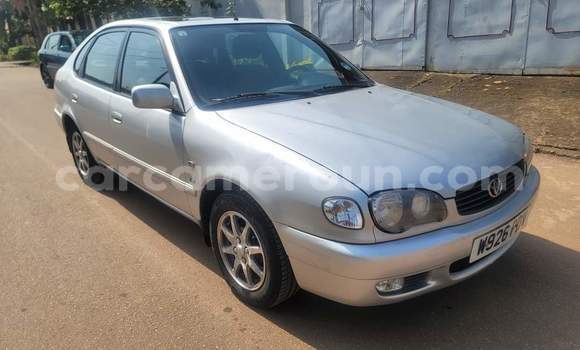 Acheter Occasion Voiture Toyota Corolla Blanc à Yaoundé, Central Cameroon