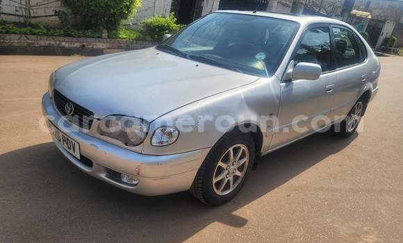 Sayi Na hannu Toyota Corolla White Mota in Yaounde a Babban Kamaru Sayi Na hannu Toyota Corolla White Mota in Yaounde a Babban Kamaru