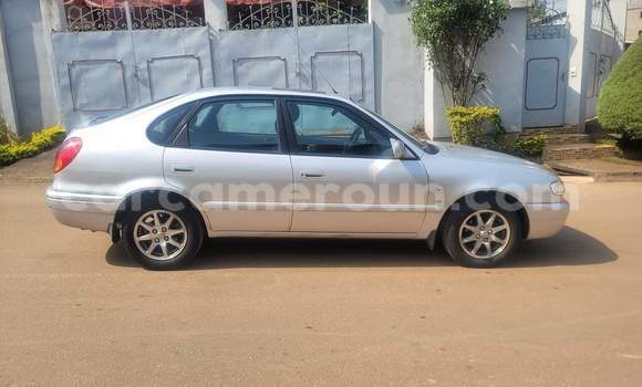 Sayi Na hannu Toyota Corolla White Mota in Yaounde a Babban Kamaru Sayi Na hannu Toyota Corolla White Mota in Yaounde a Babban Kamaru