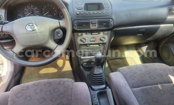 Sayi Na hannu Toyota Corolla White Mota in Yaounde a Babban Kamaru Sayi Na hannu Toyota Corolla White Mota in Yaounde a Babban Kamaru