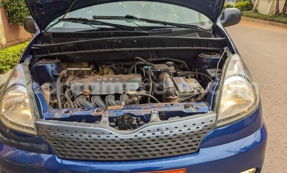 Buy Used Toyota Yaris Verso Blue Car in Yaounde in Central Cameroon Buy Used Toyota Yaris Verso Blue Car in Yaounde in Central Cameroon