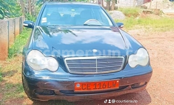 Buy Used Toyota Tacoma Red Car in Yaounde in Central Cameroon