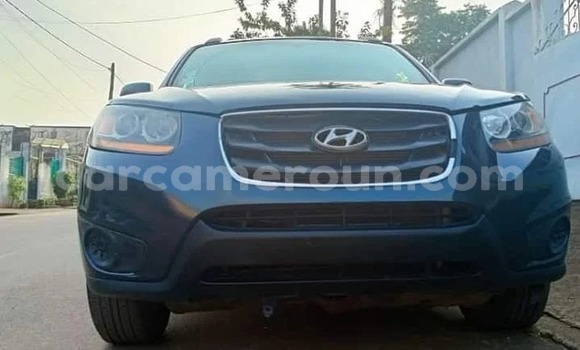 Buy Used Toyota Tacoma Red Car in Yaounde in Central Cameroon Buy Used Toyota Tacoma Red Car in Yaounde in Central Cameroon