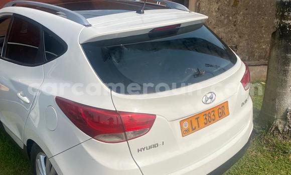 Buy Used Hyundai ix35 White Car in Douala in Littoral Cameroon