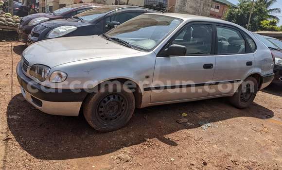 Sayi Na hannu Toyota Corolla White Mota in Yaounde a Babban Kamaru