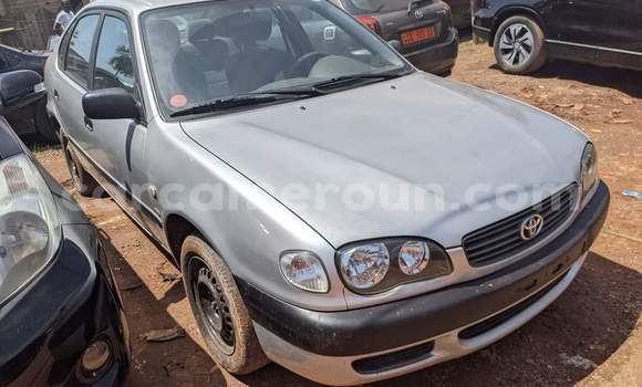 Sayi Na hannu Toyota Corolla White Mota in Yaounde a Babban Kamaru Sayi Na hannu Toyota Corolla White Mota in Yaounde a Babban Kamaru