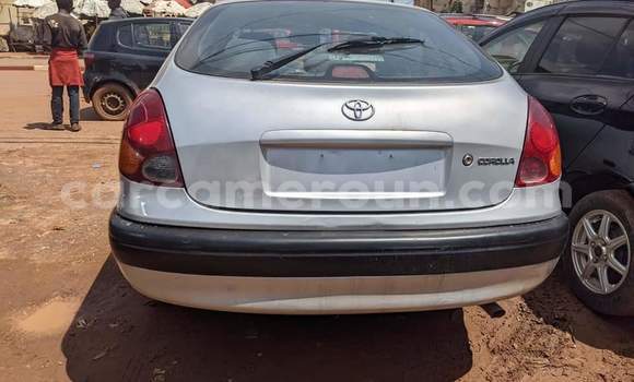Sayi Na hannu Toyota Corolla White Mota in Yaounde a Babban Kamaru Sayi Na hannu Toyota Corolla White Mota in Yaounde a Babban Kamaru