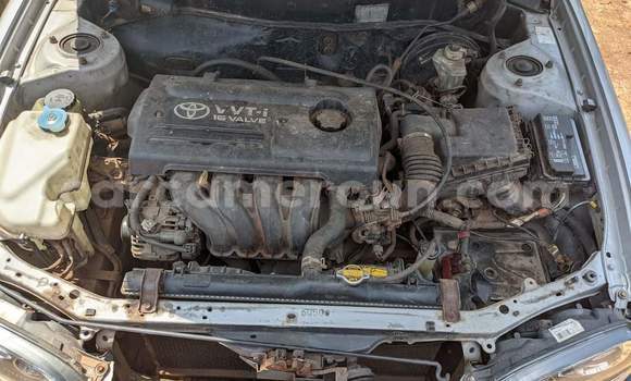 Sayi Na hannu Toyota Corolla White Mota in Yaounde a Babban Kamaru Sayi Na hannu Toyota Corolla White Mota in Yaounde a Babban Kamaru