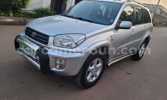 Buy Used Toyota RAV4 Silver Car in Yaounde in Central Cameroon