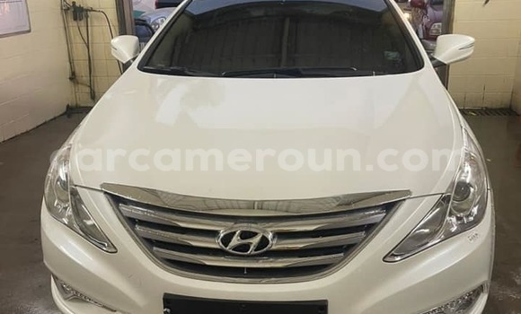 Sayi Imported Hyundai Sonata White Mota in Douala a Ƙasar Kamaru