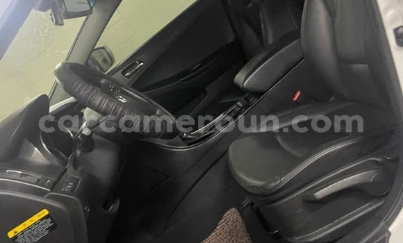 Acheter Import Voiture Hyundai Sonata Blanc à Douala, Littoral Cameroon Acheter Import Voiture Hyundai Sonata Blanc à Douala, Littoral Cameroon