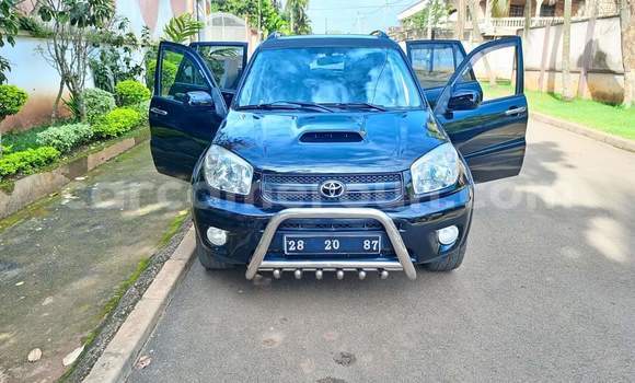 Acheter Occasion Voiture Toyota RAV4 Noir à Yaoundé, Central Cameroon