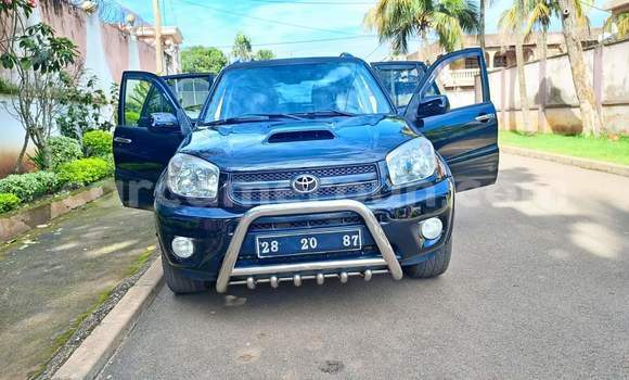 Buy Used Toyota RAV4 Black Car in Yaounde in Central Cameroon Buy Used Toyota RAV4 Black Car in Yaounde in Central Cameroon