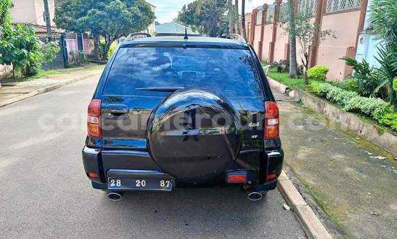 Buy Used Toyota RAV4 Black Car in Yaounde in Central Cameroon Buy Used Toyota RAV4 Black Car in Yaounde in Central Cameroon