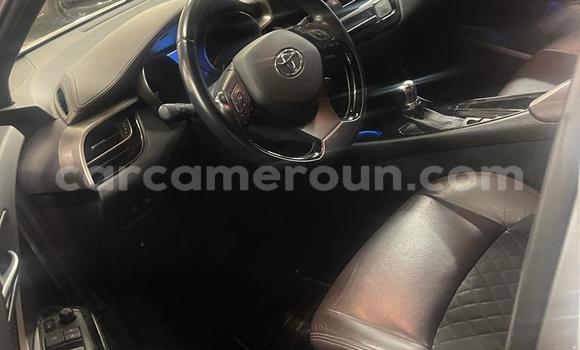 Acheter Occasion Voiture Toyota C-HR Gris à Yaoundé, Central Cameroon