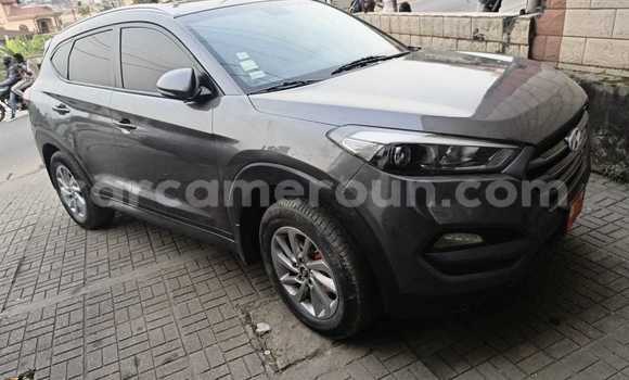 Buy Used Hyundai Tucson Silver Car in Douala in Littoral Cameroon