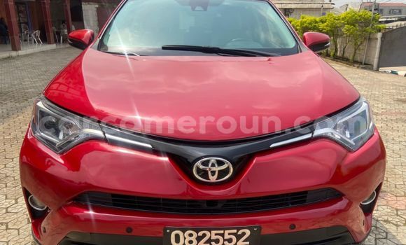 Buy Import Toyota RAV4 Red Car in Douala in Littoral Cameroon Buy Import Toyota RAV4 Red Car in Douala in Littoral Cameroon