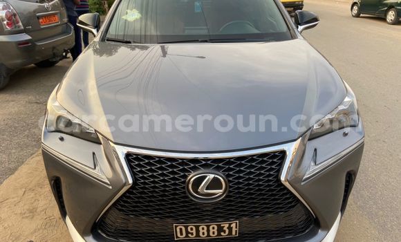Acheter Import Voiture Lexus NX Gris à Douala, Littoral Cameroon
