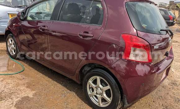 Buy Used Toyota Vitz Red Car in Yaounde in Central Cameroon Buy Used Toyota Vitz Red Car in Yaounde in Central Cameroon