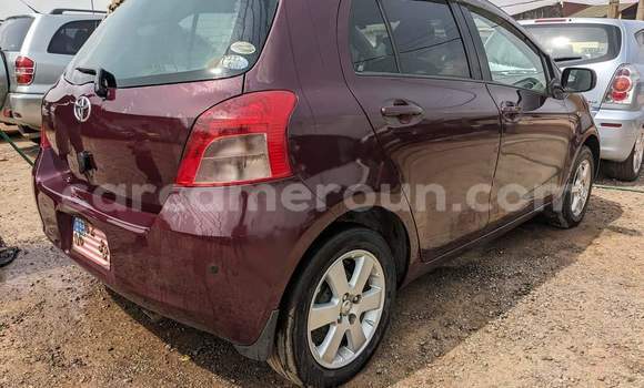 Buy Used Toyota Vitz Red Car in Yaounde in Central Cameroon Buy Used Toyota Vitz Red Car in Yaounde in Central Cameroon
