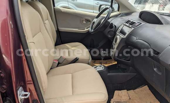 Buy Used Toyota Vitz Red Car in Yaounde in Central Cameroon Buy Used Toyota Vitz Red Car in Yaounde in Central Cameroon