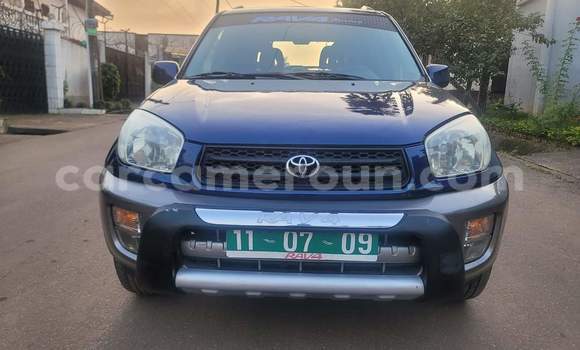 Buy Used Toyota RAV4 Blue Car in Yaounde in Central Cameroon Buy Used Toyota RAV4 Blue Car in Yaounde in Central Cameroon