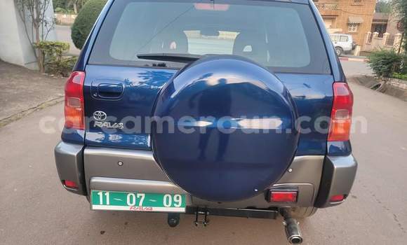 Buy Used Toyota RAV4 Blue Car in Yaounde in Central Cameroon Buy Used Toyota RAV4 Blue Car in Yaounde in Central Cameroon
