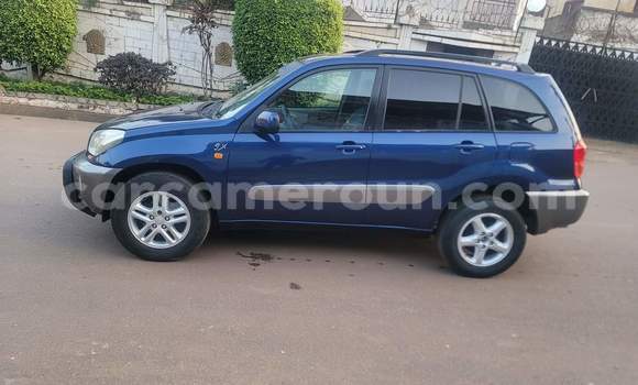 Buy Used Toyota RAV4 Blue Car in Yaounde in Central Cameroon Buy Used Toyota RAV4 Blue Car in Yaounde in Central Cameroon