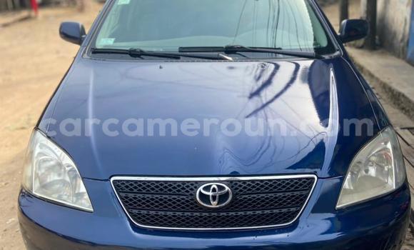 Acheter Occasion Voiture Toyota Corolla Bleu à Douala, Littoral Cameroon