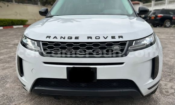 Sayi Imported Range Rover Evoque White Mota in Douala a Ƙasar Kamaru