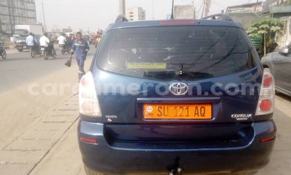 Acheter Occasion Voiture Toyota Corolla Verso Bleu à Douala, Littoral Cameroon Acheter Occasion Voiture Toyota Corolla Verso Bleu à Douala, Littoral Cameroon