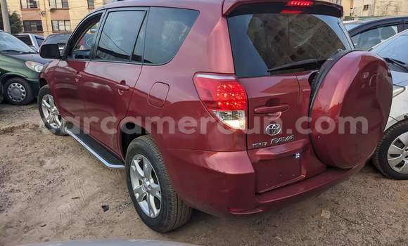 Buy Used Toyota RAV4 Red Car in Yaounde in Central Cameroon Buy Used Toyota RAV4 Red Car in Yaounde in Central Cameroon