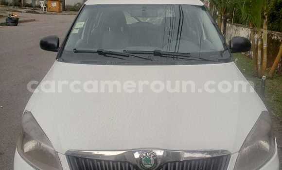 Buy Used Skoda Fabia White Car in Douala in Littoral Cameroon