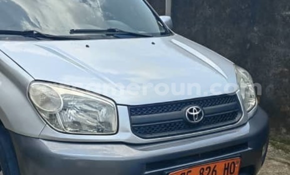 Sayi Na hannu Toyota RAV4 Azurfa Mota in Douala a Ƙasar Kamaru