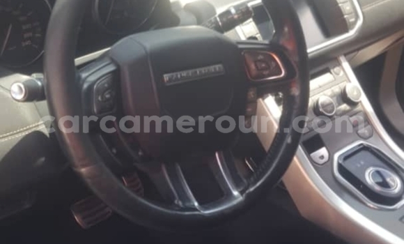 Acheter Occasion Voiture Land Rover Range Rover Evoque Gris à Yaoundé, Central Cameroon Acheter Occasion Voiture Land Rover Range Rover Evoque Gris à Yaoundé, Central Cameroon