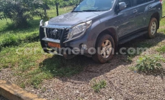 Acheter Occasion Voiture Toyota Prado Gris à Yaoundé, Central Cameroon