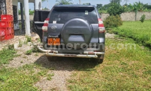 Buy Used Toyota Prado Silver Car in Yaounde in Central Cameroon Buy Used Toyota Prado Silver Car in Yaounde in Central Cameroon