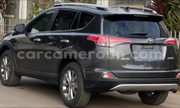 Buy Used Toyota RAV4 Black Car in Yaounde in Central Cameroon Buy Used Toyota RAV4 Black Car in Yaounde in Central Cameroon