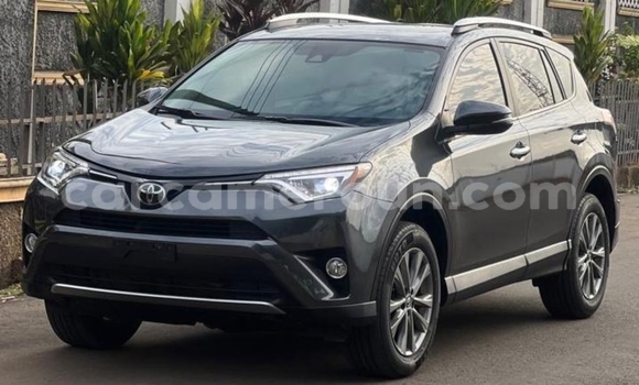 Buy Used Toyota RAV4 Black Car in Yaounde in Central Cameroon Buy Used Toyota RAV4 Black Car in Yaounde in Central Cameroon