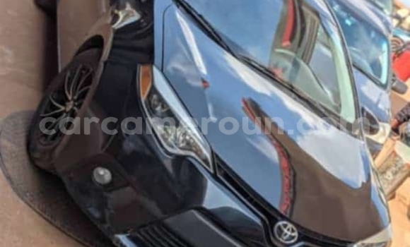 Acheter Occasion Voiture Toyota Corolla Noir à Yaoundé, Central Cameroon Acheter Occasion Voiture Toyota Corolla Noir à Yaoundé, Central Cameroon