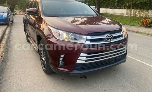Buy Import Toyota Highlander Red Car in Douala in Littoral Cameroon Buy Import Toyota Highlander Red Car in Douala in Littoral Cameroon