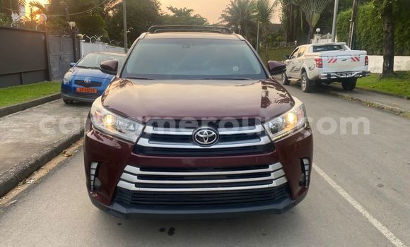 Buy Import Toyota Highlander Red Car in Douala in Littoral Cameroon Buy Import Toyota Highlander Red Car in Douala in Littoral Cameroon