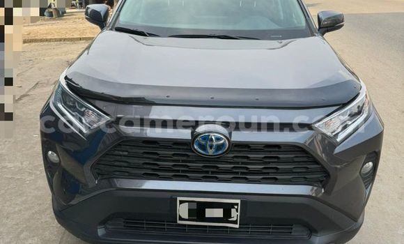 Acheter Import Voiture Toyota RAV4 Gris à Douala, Littoral Cameroon