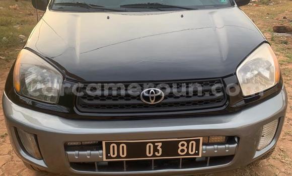 Acheter Occasion Voiture Toyota RAV4 Noir à Yaoundé, Central Cameroon