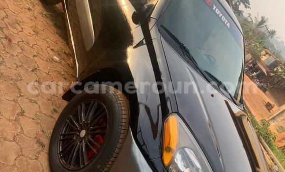 Sayi Na hannu Toyota RAV4 Black Mota in Yaounde a Babban Kamaru Sayi Na hannu Toyota RAV4 Black Mota in Yaounde a Babban Kamaru