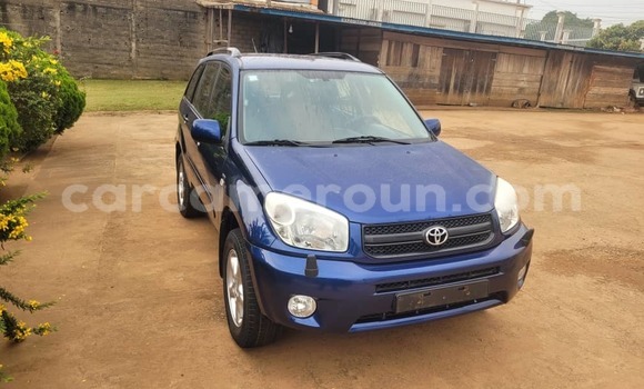 Sayi Na hannu Toyota RAV4 Blue Mota in Yaounde a Babban Kamaru Sayi Na hannu Toyota RAV4 Blue Mota in Yaounde a Babban Kamaru