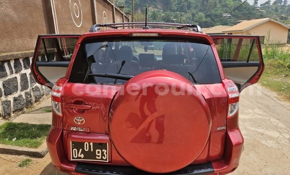 Buy Used Toyota RAV4 Red Car in Yaounde in Central Cameroon