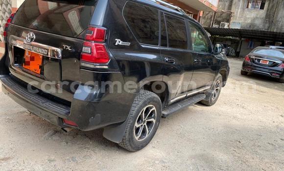 Buy Import Toyota Land Cruiser Prado Black Car in Douala in Littoral Cameroon Buy Import Toyota Land Cruiser Prado Black Car in Douala in Littoral Cameroon