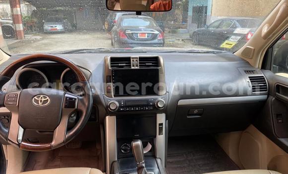 Buy Import Toyota Land Cruiser Prado Black Car in Douala in Littoral Cameroon Buy Import Toyota Land Cruiser Prado Black Car in Douala in Littoral Cameroon
